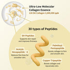 Sungboon Silk Lifting Peptide Ampoule - Wrinkle Care